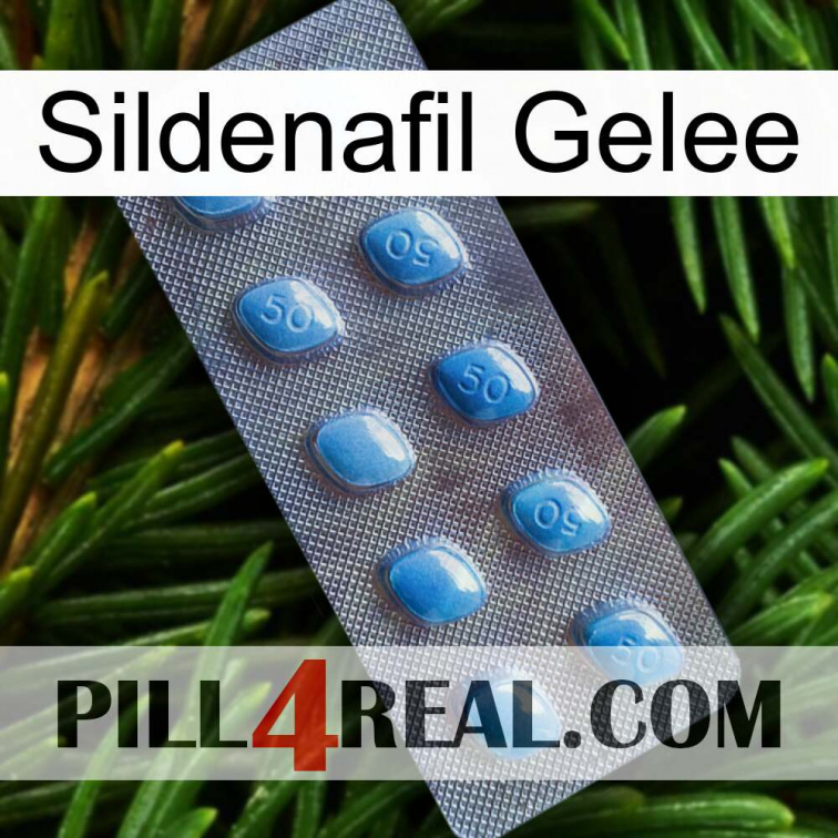 Sildenafil Jelly viagra3